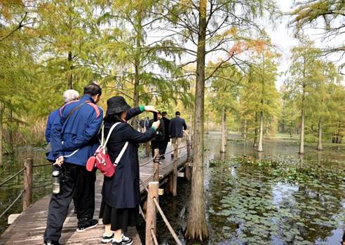 a49cbbf5741d970e117c2ce7b63ecab6